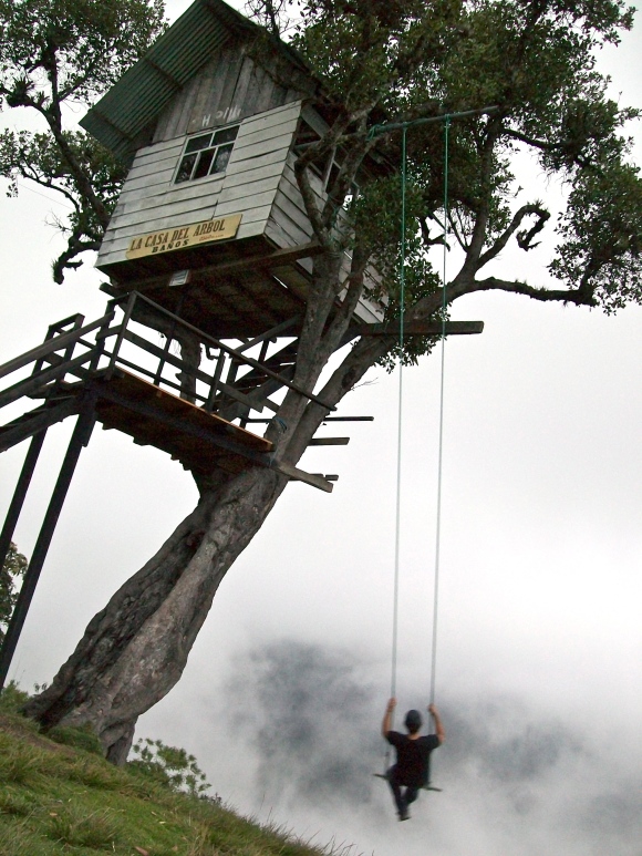 The treehouse and the swing...and, yeah, those impenetrable clouds